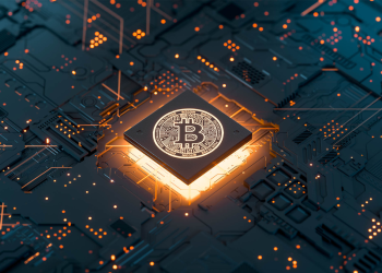 Cryptocurrency 101: What Beginners Need to Know Before Diving In
