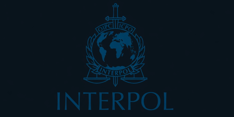 Interpol Crypto